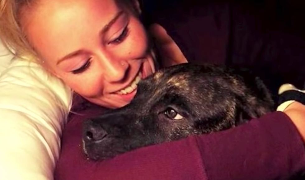 Sheriff does something 'unprecedented' in case of Virginia woman mauled by her own dogs