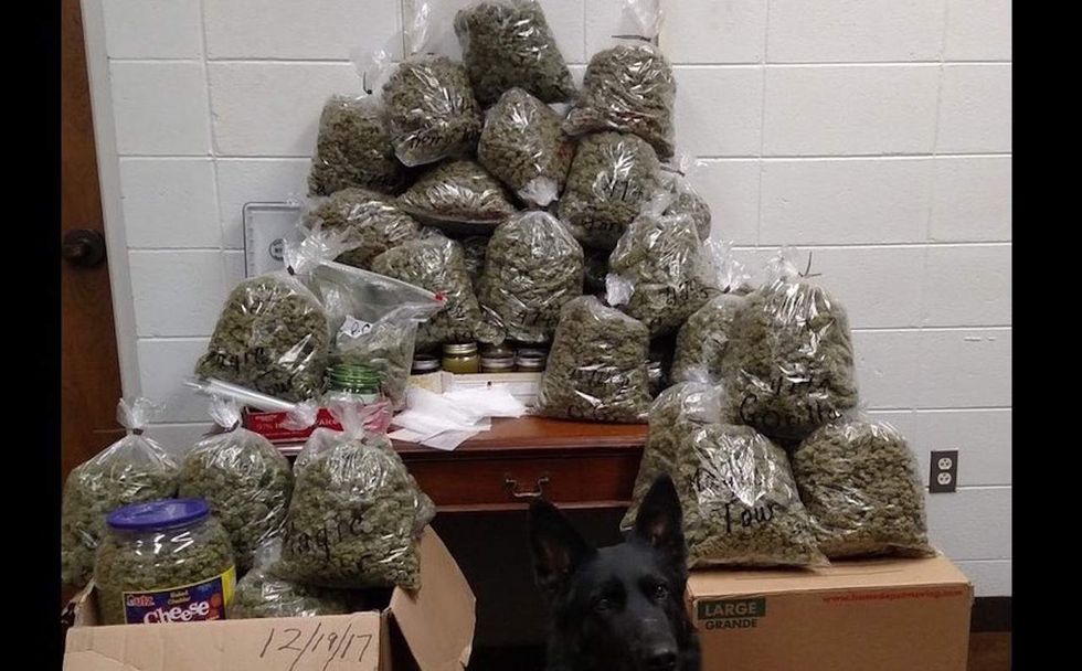 Elderly couple busted with $336,000 of pot in their pickup. They said it was for Christmas presents.