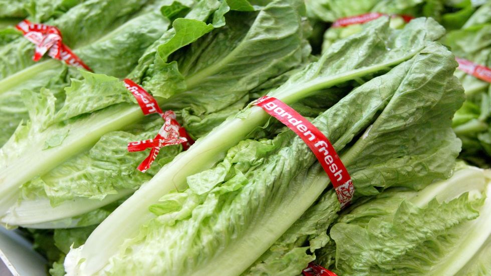 E. coli outbreak in US could be linked to romaine lettuce