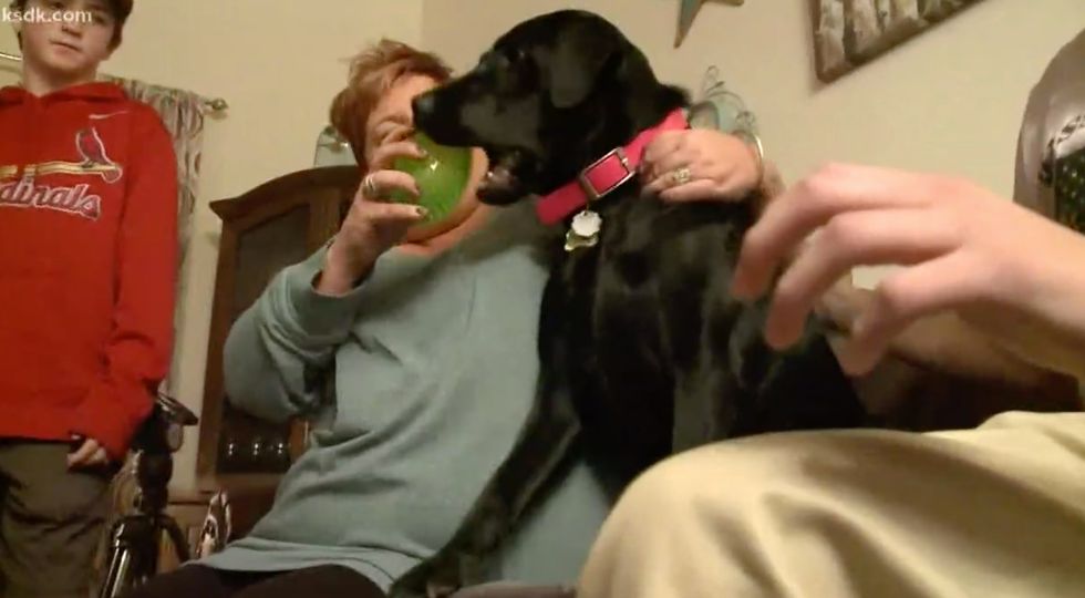 Meet the family dog being hailed as a hero after its quick reaction and persistent barking