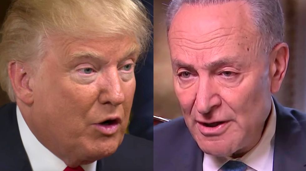 Trump offered Democrats amnesty for the border wall - here's how Schumer responded