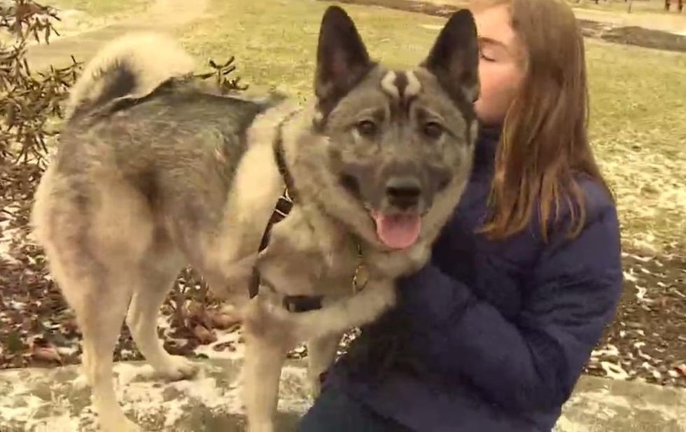 He got approved for $360 in weekly unemployment benefits. He's a dog.