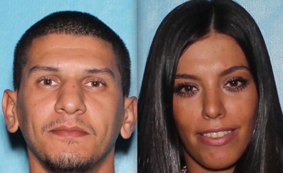 Alleged shoplifters on run from cops decide to jump a fence. Where they land will get you chuckling.