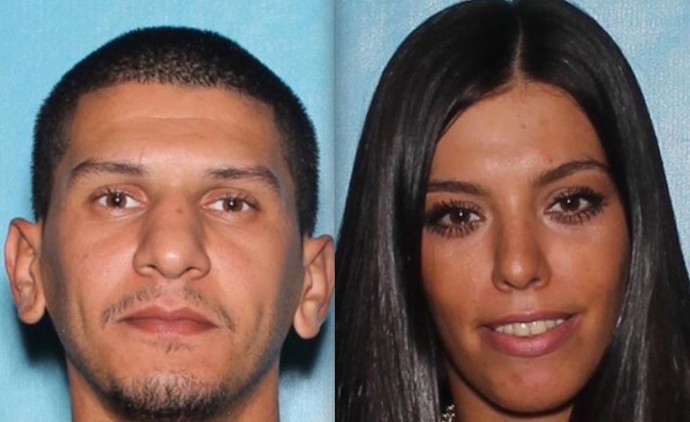 Alleged shoplifters on run from cops decide to jump a fence. Where they land will get you chuckling.