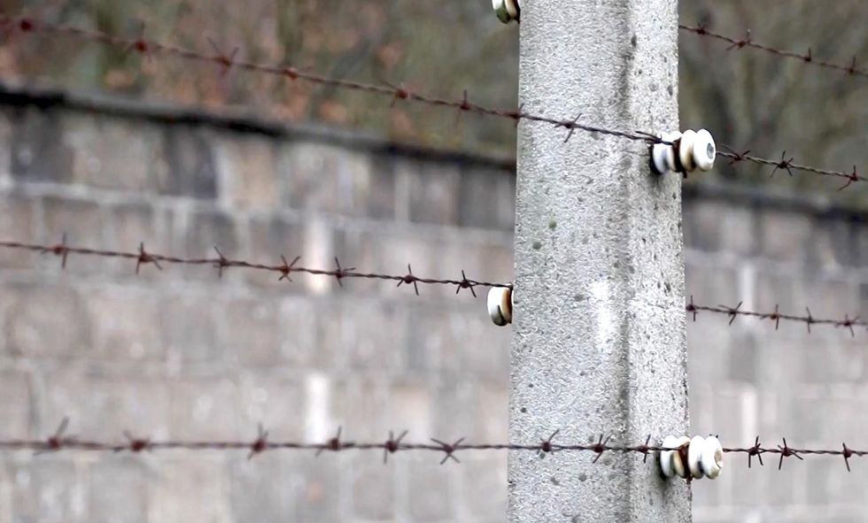 Here's what some Germans want to do about growing anti-Semitism from Muslim refugees