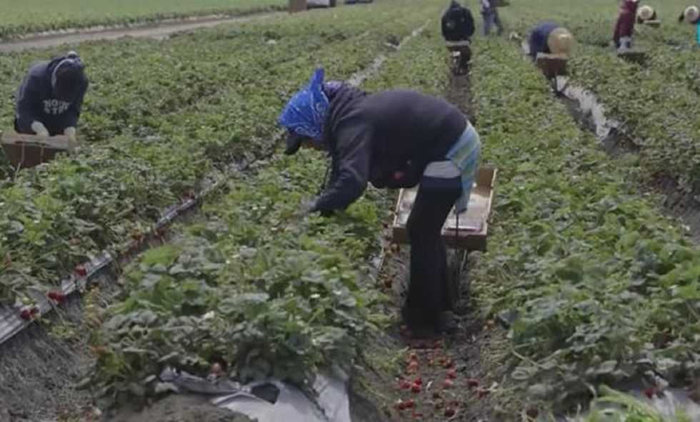 ICE arrests in California's Central Valley are up, circumventing sanctuary cities