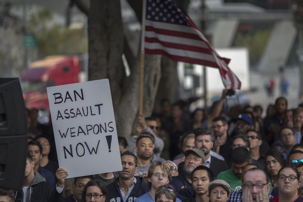 Illinois city bans assault weapons, imposes fines up to $1,000 per day
