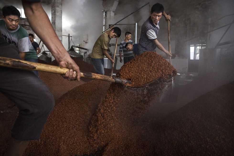China slaps 179 percent tariff on $1 billion worth of US sorghum imports