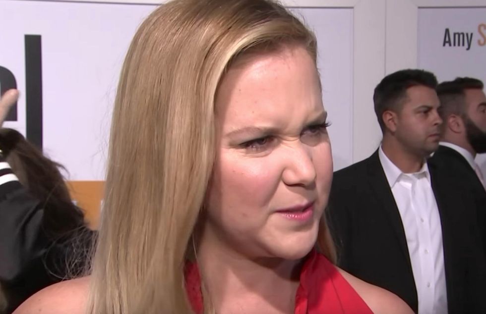 Trump's presidency has hit liberal comedian Amy Schumer hard - here's what she said