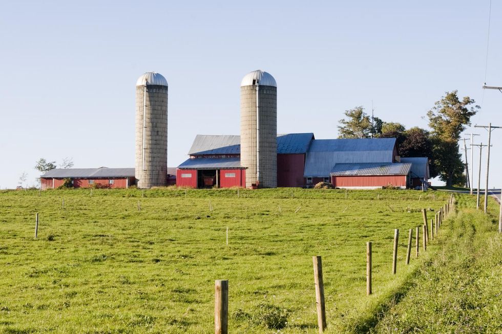 NY farmer allegedly cuffed, threatened by ICE agents who raided his property without warrant