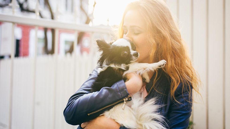 Yale College braces for expected influx of student 'emotional support animals