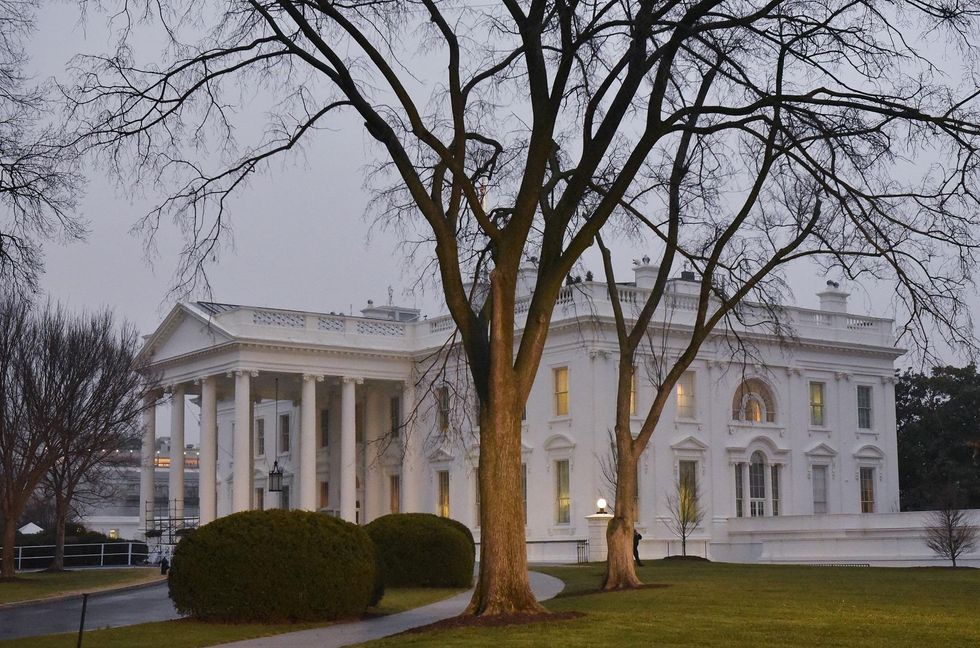 Trump replaces White House lawyer Ty Cobb with former Clinton impeachment lawyer
