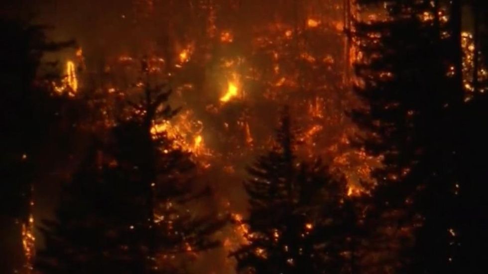 15-year-old fined $36M for starting forest fire; lawyer calls it 'cruel and unusual' punishment