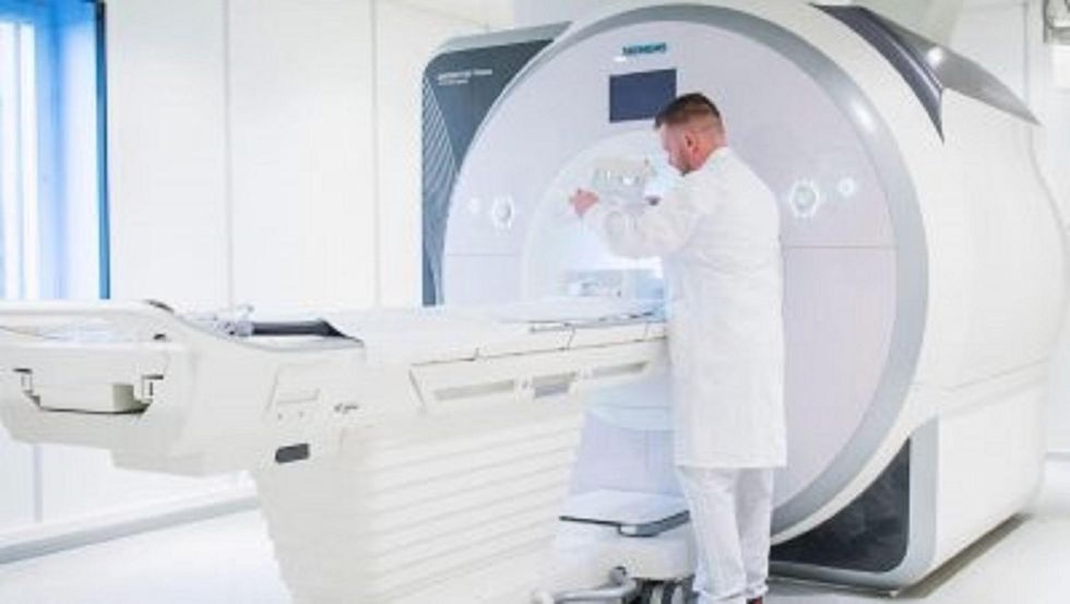 Transgender brain structure differs from those without gender dysphoria, according to new research