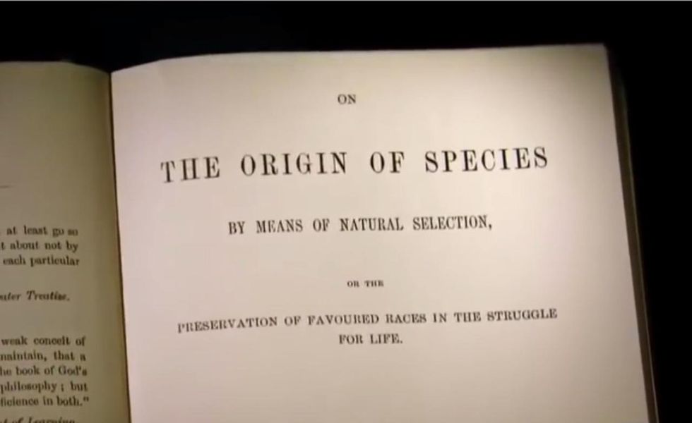 Almost all species on Earth today came into being at about the same time, scientific study declares