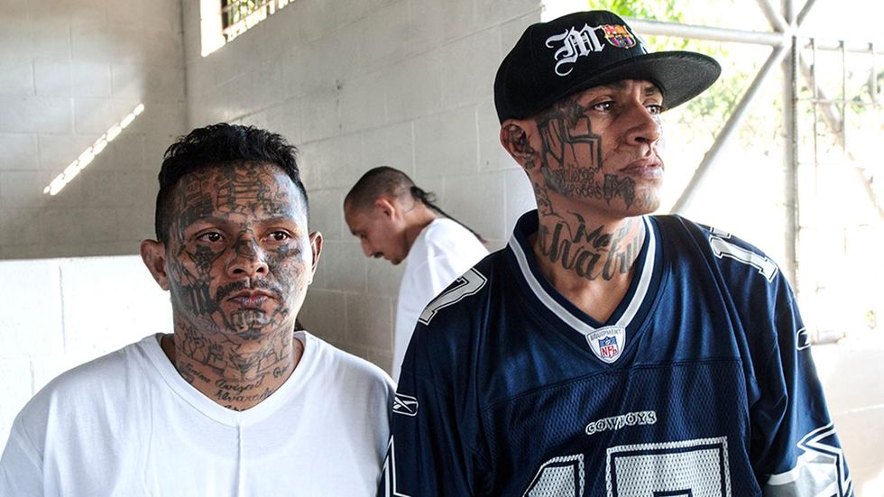 Drum roll, please: Survey asks millennials if they'd date a Trump supporter or an MS-13 gang member