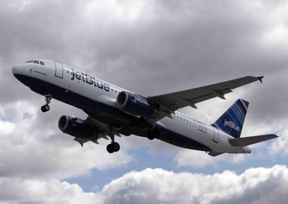 Here are 10 animals JetBlue just announced you cannot take on its planes