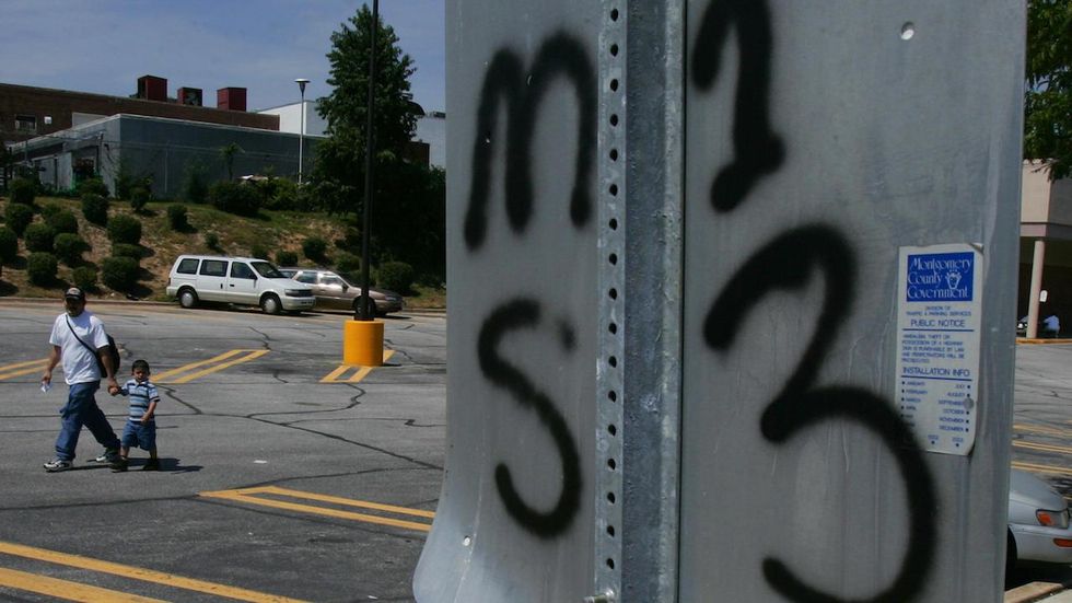 Educators say administrators have ignored MS-13 infiltration at Maryland middle school
