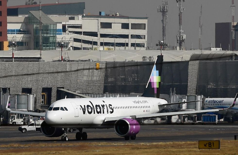 Airline offers to send illegal immigrant children in US separated from families back home for free
