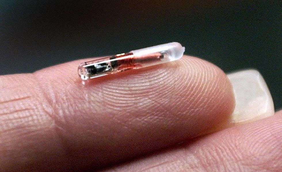 Thousands of Swedes voluntarily getting microchipped - here's why