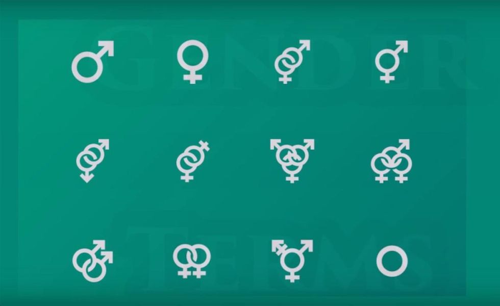 A dozen gender options—including 'androgyne,' 'demigender'—on Law School Admission Council website