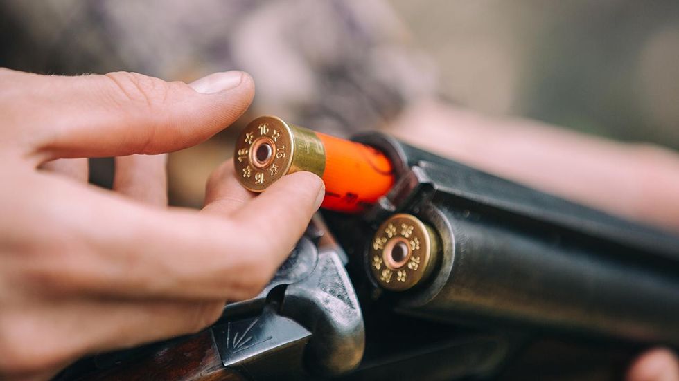 NBC correspondent Pete Williams mocked for his explanation of how shotguns work