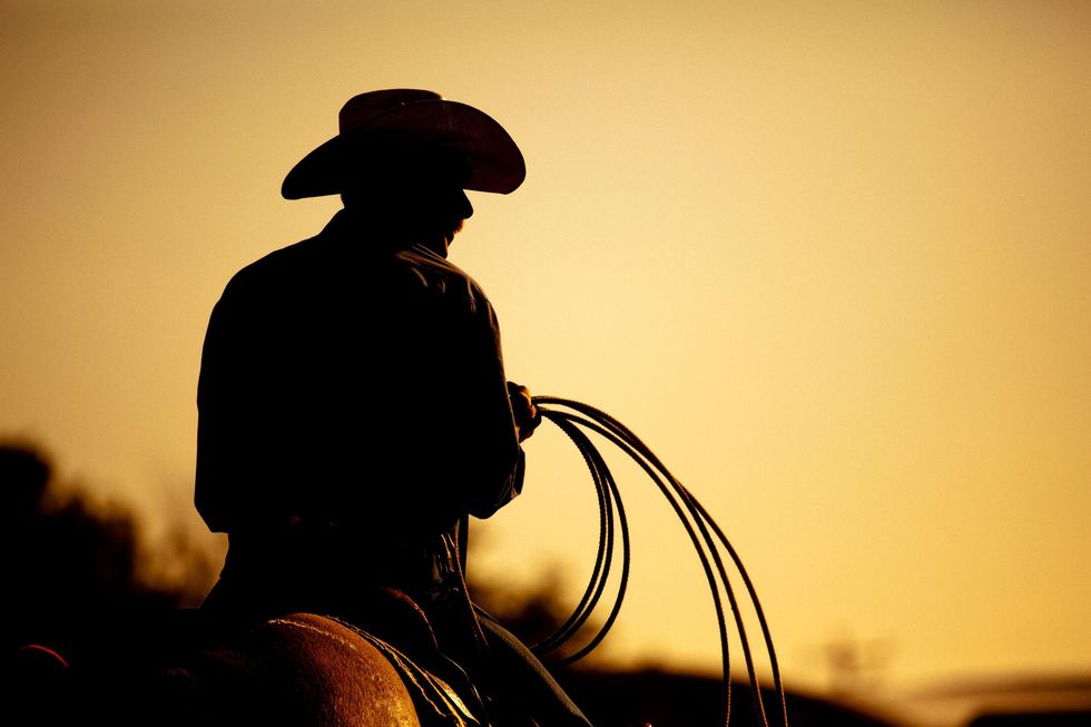 University of Wyoming professors protest new marketing slogan about cowboys. You already know why.