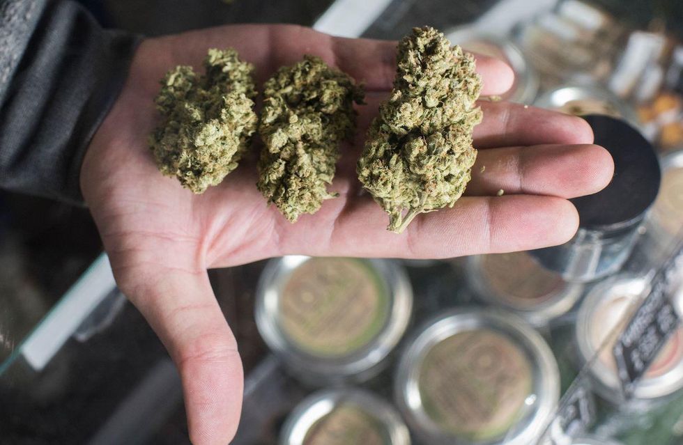 New Jersey wants to expand medical marijuana program to treat opioid addiction