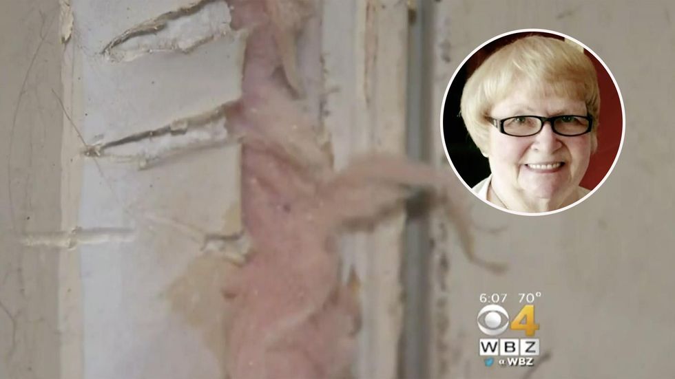 Bear attacks elderly wheelchair-bound woman after breaking into her home, raiding her kitchen