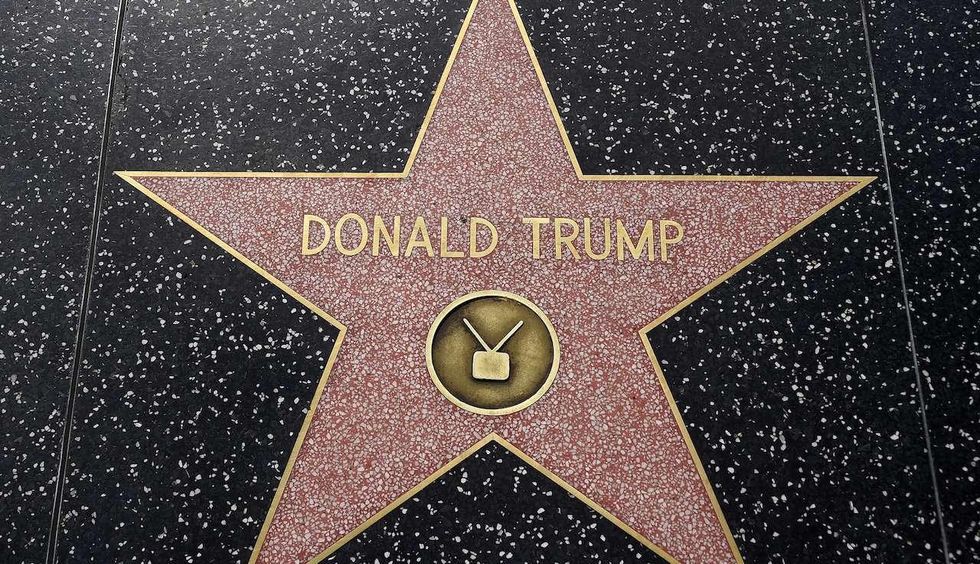 Vandal turns himself in after taking a pickax to President Trump's Walk of Fame star in Hollywood