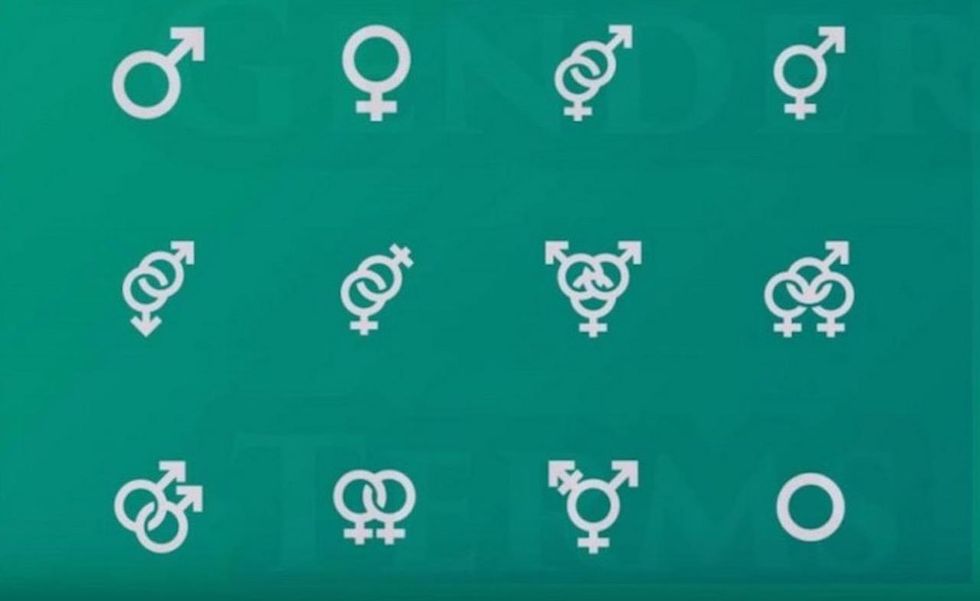 Transgenders furious over man changing to female on birth certificate for cheaper car insurance