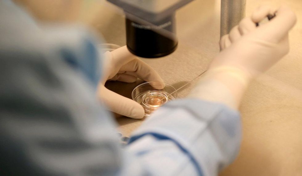 Group threatens legal action against UK's NHS if it doesn't provide transgender fertility treatments