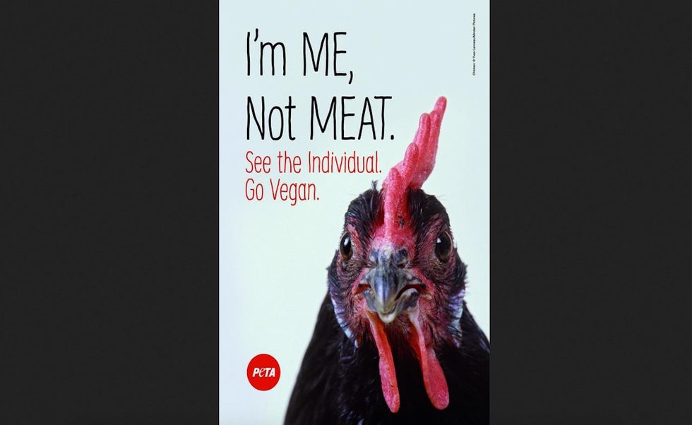 PETA billboard is 'tribute' to chickens killed in truck crash — so they 'won’t have died in vain\