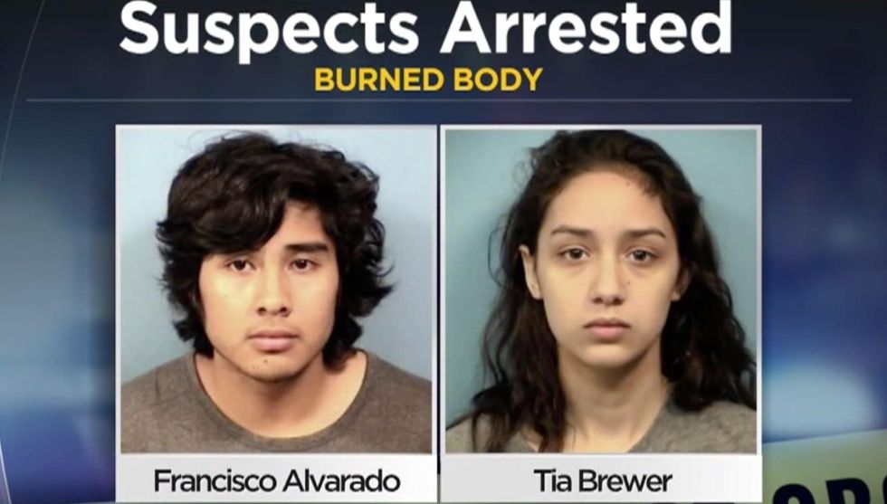 West Chicago teens charged with strangling, stabbing, running over, and burning another teenager