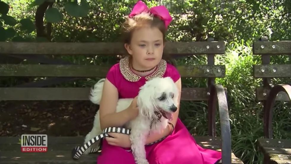 Illinois mom gets investigated by police, child services for letting 8-year-old walk the dog alone