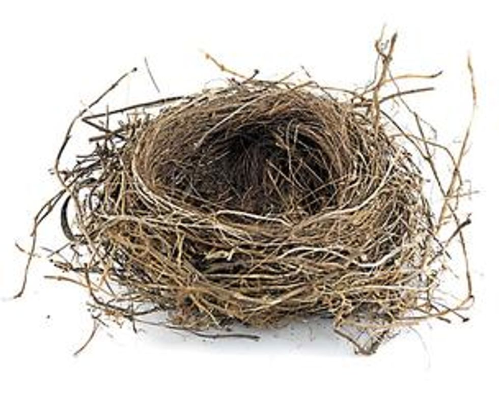 Empty Nest Secrets Nobody Shares