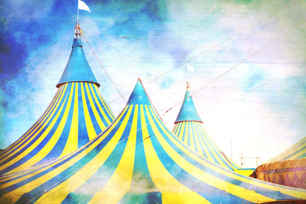 Circus Politics: Will Our Freedoms Survive Another Presidential Election?