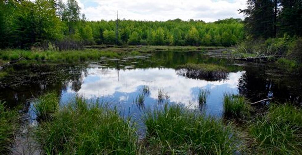 A Battle Over Wetlands and Bureaucratic Overreach is Brewing at the Supreme Court