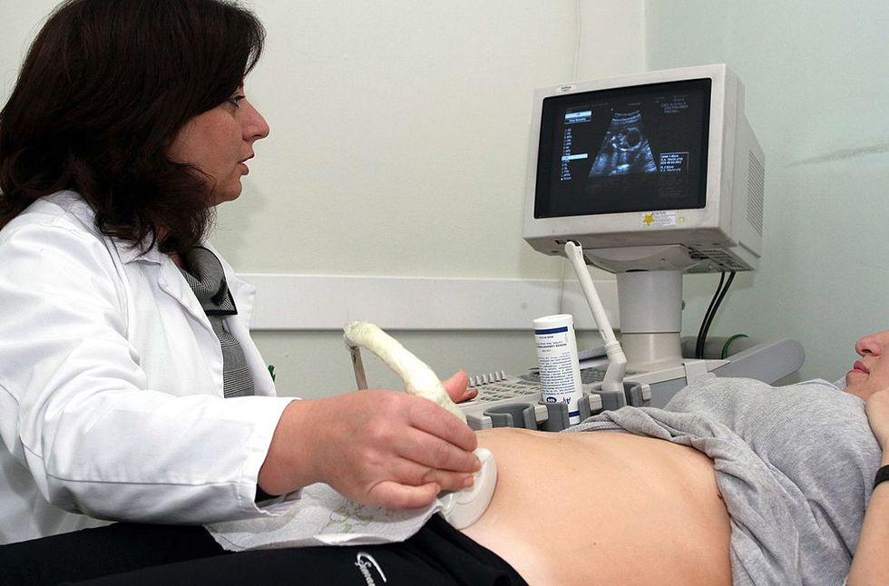 Fetal Pain Facts and Falsehoods