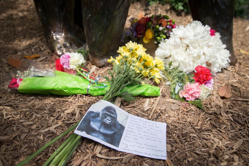 While You Were Crying Over a Dead Ape, 125,000 Babies Were Just Murdered