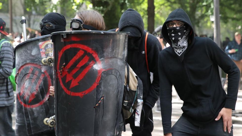 Antifa is the perfect representation of this bratty population