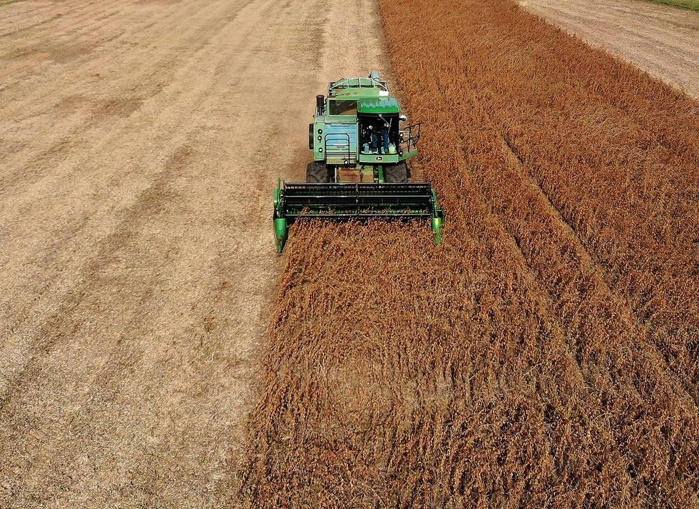 US soybean exports drop by 97 percent as trade deficit with China grows