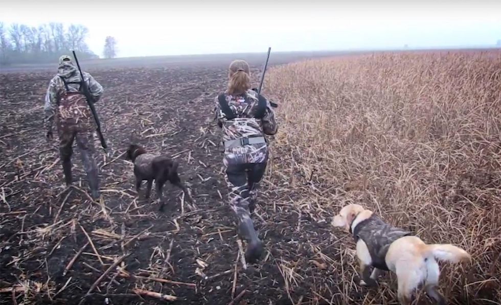 Apparent Democratic political ad warns N. Dakota hunters that voting could nix out-of-state licenses
