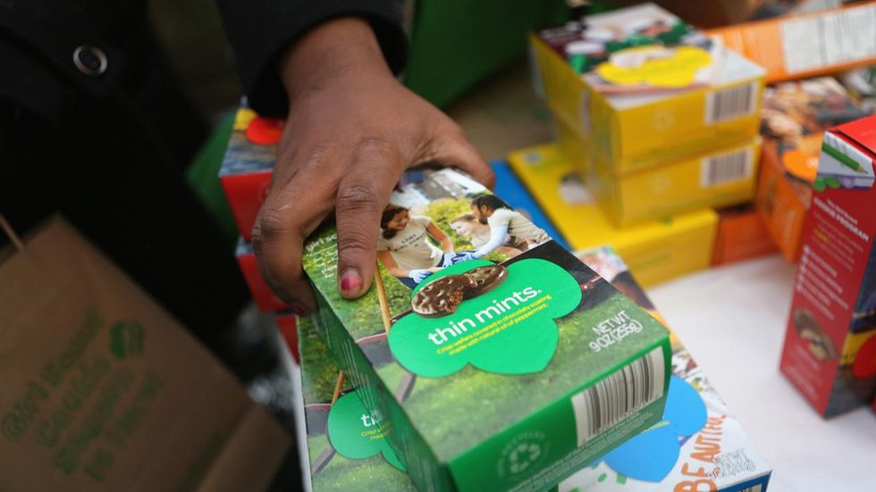 Ohio woman allegedly stole $1,600 worth of Girl Scout cookies, dubbed real-life 'cookie monster