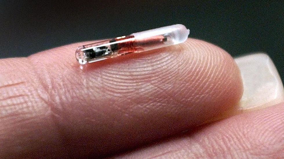 Plan unveiled to microchip ‘hundreds of thousands’ of UK employees at major companies