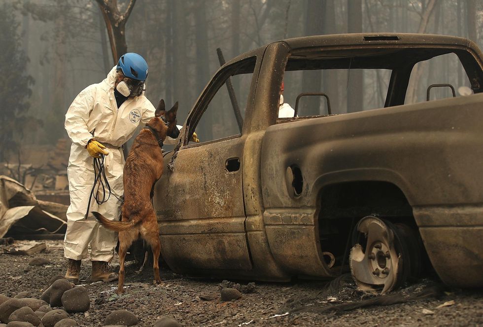 Not even habitable': Troops sift through ruins left by California wildfires as death toll climbs