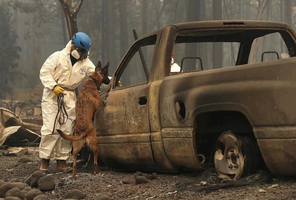 Not even habitable': Troops sift through ruins left by California wildfires as death toll climbs