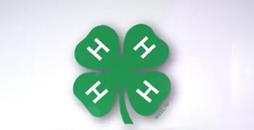 Report says Trump administration nixed LGBT policy for 4-H, resulting in Iowa leader's ouster