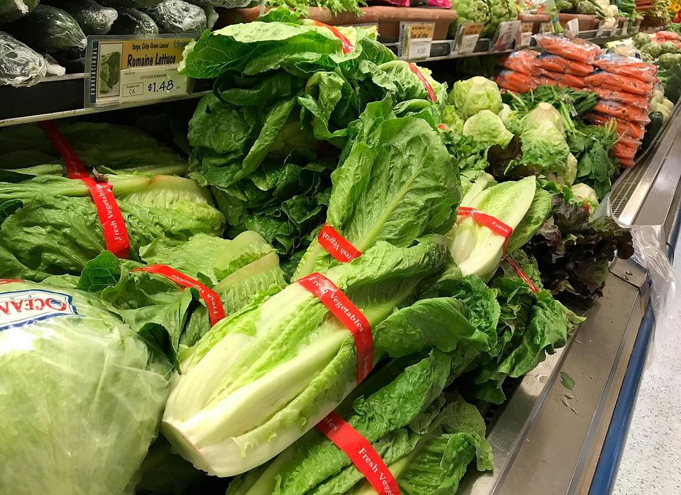 BREAKING: CDC, FDA recommend not eating any romaine lettuce after multi-state E. coli outbreak