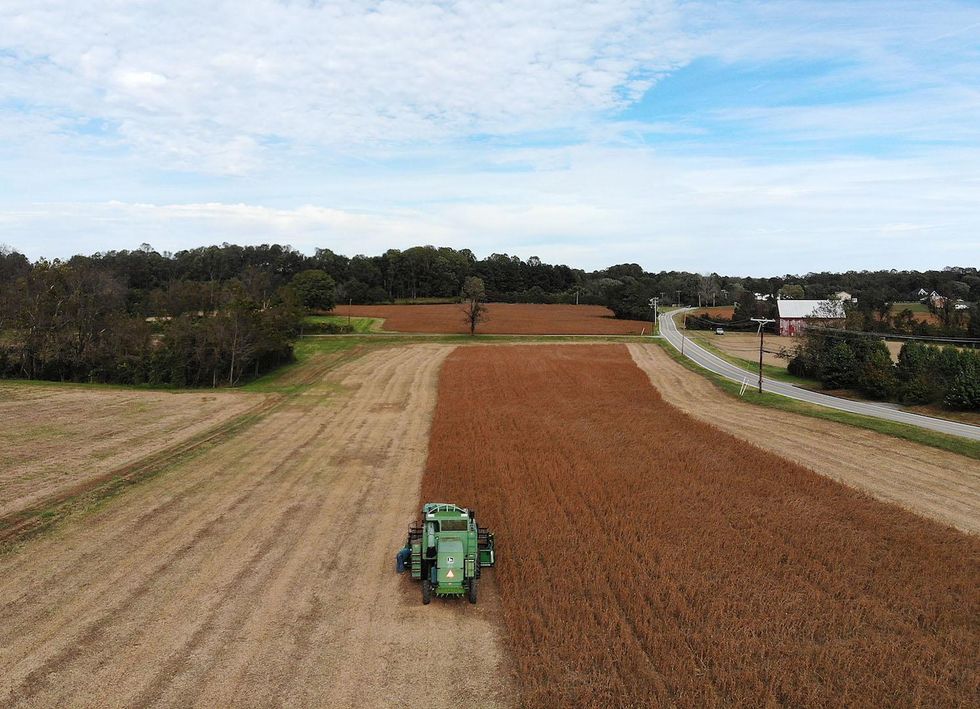 Farmers forced to let crops rot, unable to sell to China amid trade war